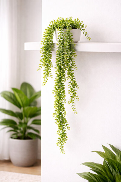 DALKIRAN Yapay Sarkan Şimşir Yeşillik 80 CM