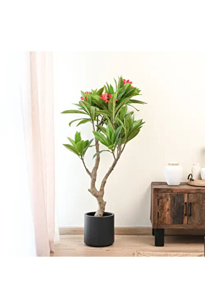 Generic شجرة بلوميريا اصطناعية - ارتفاع 1.5 متر