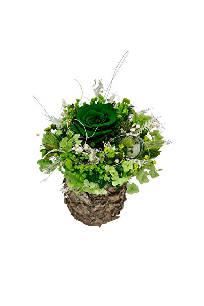 Eventissimi Aranjament floral mic cu licheni trandafir si plante criogenate i...