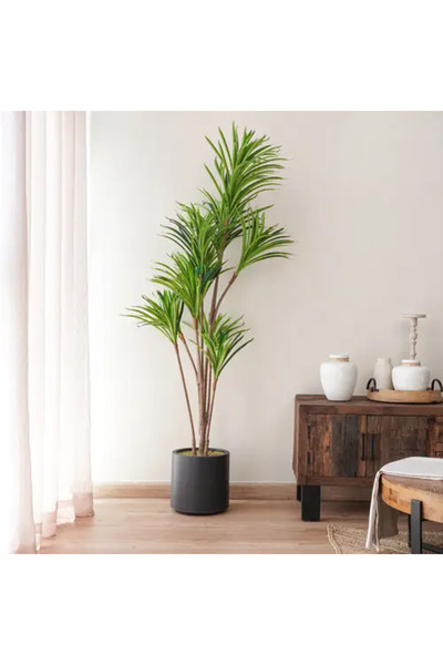 Generic شجرة دراسينا اصطناعية - ارتفاع 1.75 متر