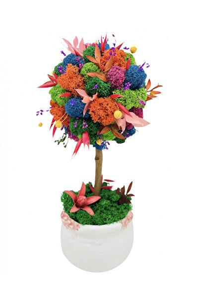 Eventissimi Aranjament floral, 27 cm, licheni stabilizați, plante criogenate,...