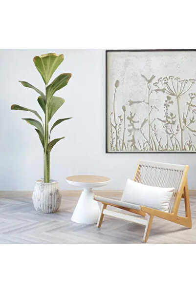 Generic نخلة خضراء/وردية