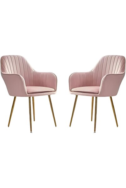 Maanys Modern Velvet Dining Chairs (Set of 2)