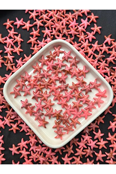 Bijumix Aksesuar 50 Adet Pembe Deniz Yıldızı Akrilik Boncuk – Takı & Bileklik...