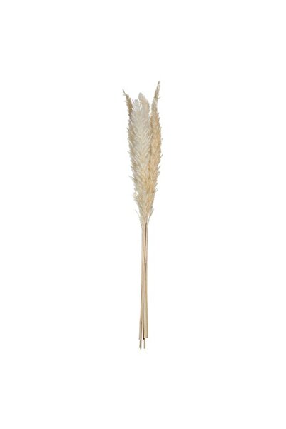 Maison D'Amelie Set of 6 artificial pampas grass, 65 cm