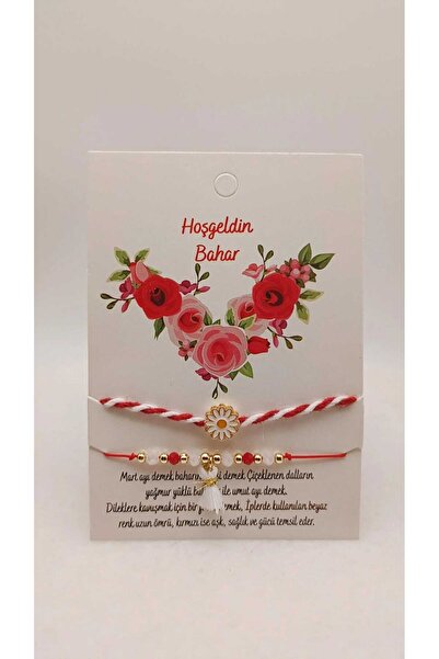 TLSMACCESORIES MARTENİÇKA FİGÜRLÜ 10'LU