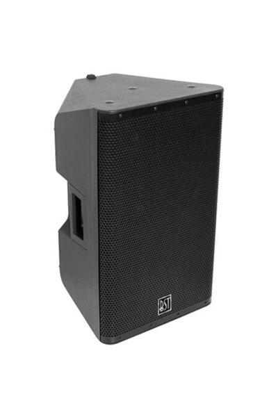 BST PROFESSIONAL ACTIVE BOX 2-WAY 15"/38CM 500W RMS