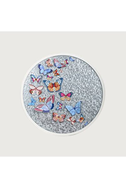 Generic Butterfly Wall Art