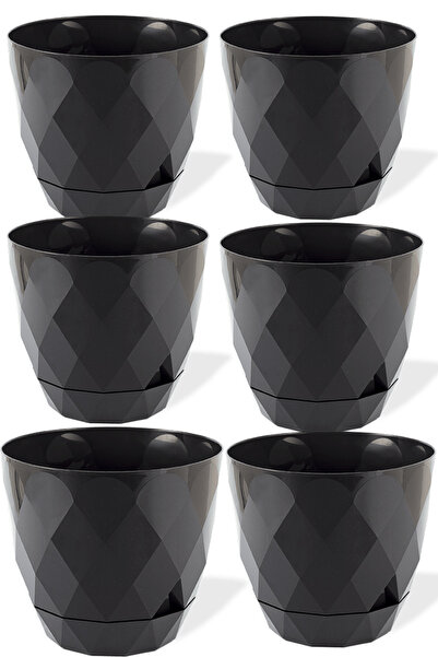 TEMMUZ HOME Karasu Plastık 0.3 Lt 6 Adet Yakamoz Çiçek Saksı