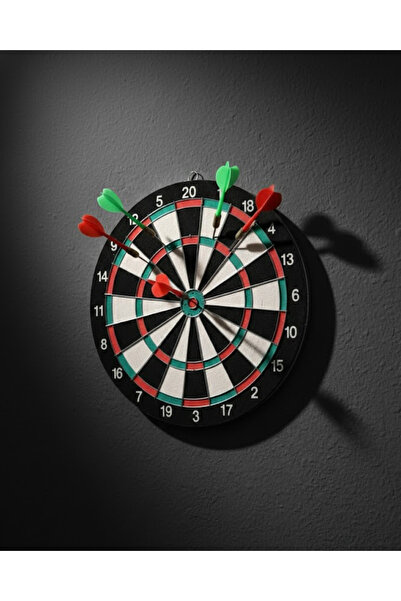 Lisinya 17 Inch Dart Board with Sturdy Wooden Body and Metal Needle Darts - T...