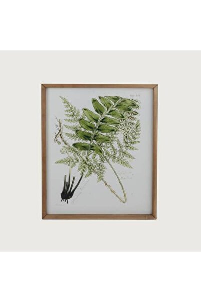 Generic أوراق نباتية فنية جدارية