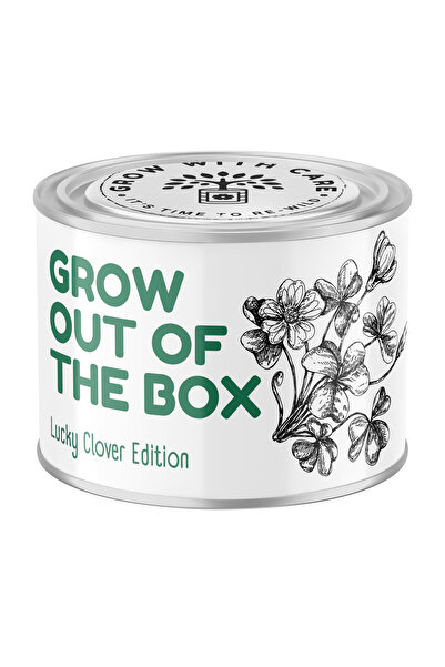 Story Box Kit de plantare, Story Box, Trifoi (Oxalis deppei), ghiveci ceramic...