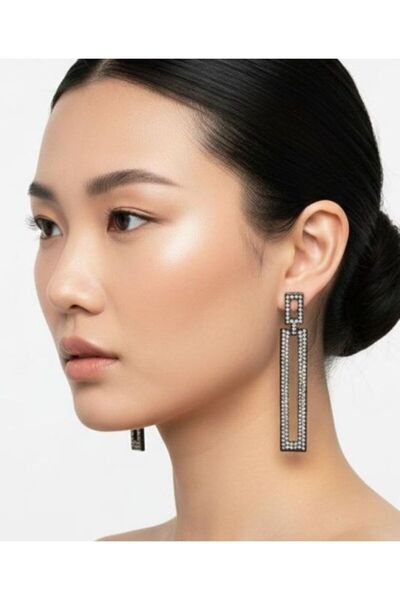 Dgt Luxury Zircon and Black Nobility, Geometric Rectangular Earrings