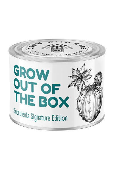 Story Box Kit de plantare, Story Box, Suculente mix, ghiveci ceramic, seminte...