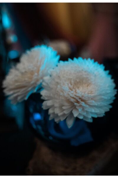 AW Gifts Difuzor de arome florale - Garoafă mare