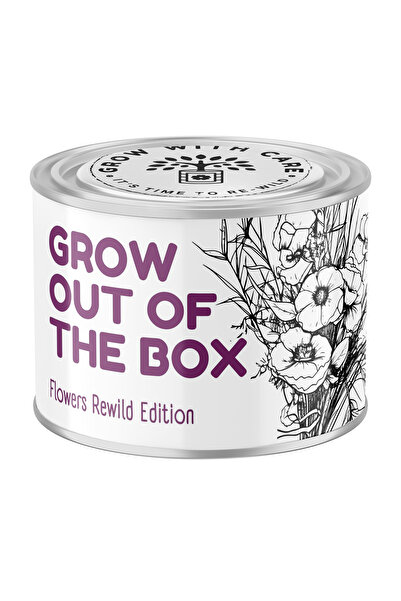 Story Box Kit de plantare, Story Box, Flori salbatice, ghiveci ceramic, semin...