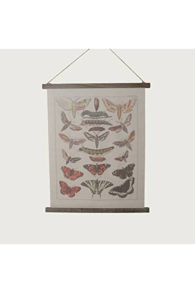 Generic Canvas Wall Art