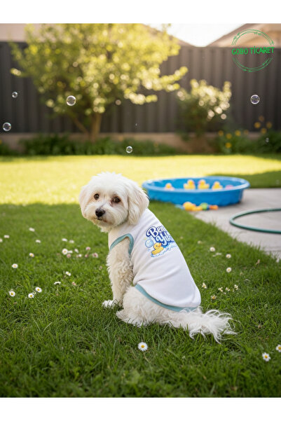 Gobo Wash Me Printed Cat and Dog Outfit–Cute Patterned Pet T-Shirt Dress, Dif...