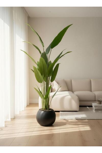 Casco An artificial plant with broad leaves, 150 cm tall, in a round pot.