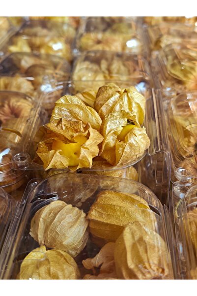 ALANYADAN TROPİKAL Altın Çilek 100 gr Yerli Üretim Taze Doğal