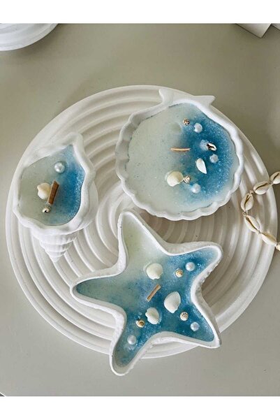 Yaratıcı sanatlar atölyesi 3'lü Deniz Kabuğu İçinde Okyanus Temalı Kokulu Aro...