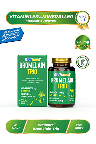 Wellcare Bromelain Trio 60 Tablet