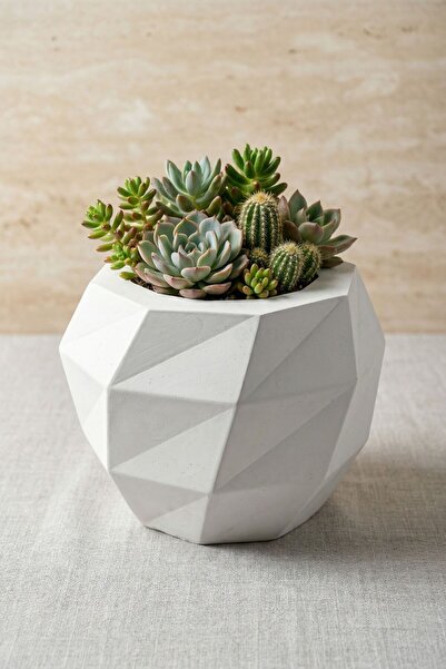 Evene Saksı Büyük Saksı Çiçek Saksısı Büyük Boy Saksı Salon Saksısı Model 13 ...