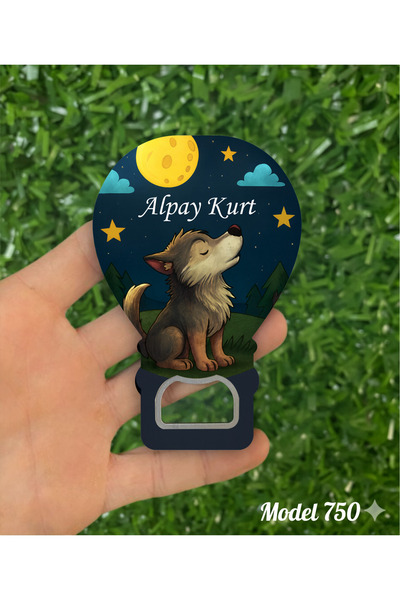 Nar Promosyon 40 Adet Mıknatıslı Açacak Magnet - Yanında Ambalaj Hediyeli - D...