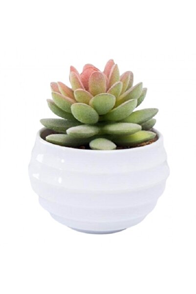 Noname Artificial succulent plant green&minus;pink, 10 cm