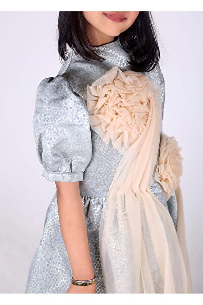 Obaha prominent rose dress