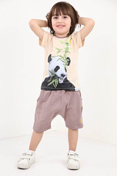 Toontoy Boys' 2-Piece Set: Printed Crew Neck T-Shirt & Elastic Waist Pocket S...