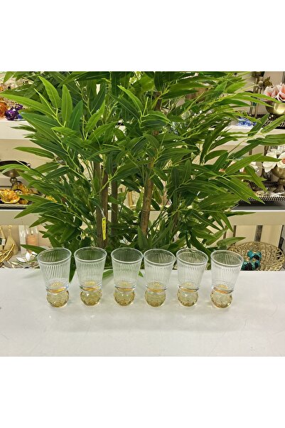 goldhomedesign Çizgili Cam 6’Lı Kahve Yanı Bardak