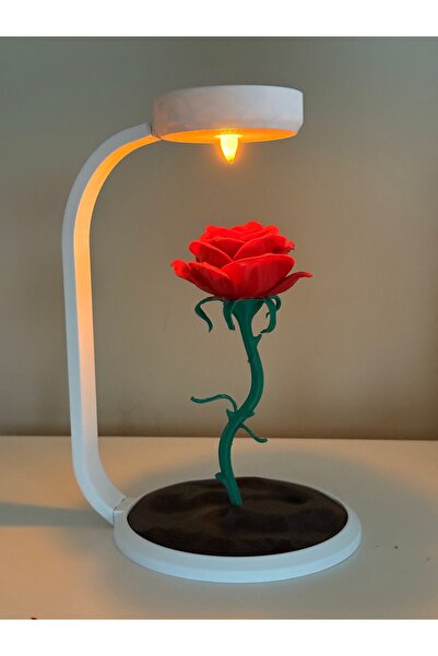 Chamelon Studio Dekoratif Işıklı Gül Biblo - Romantik Gece Lambası Sevgiliye ...