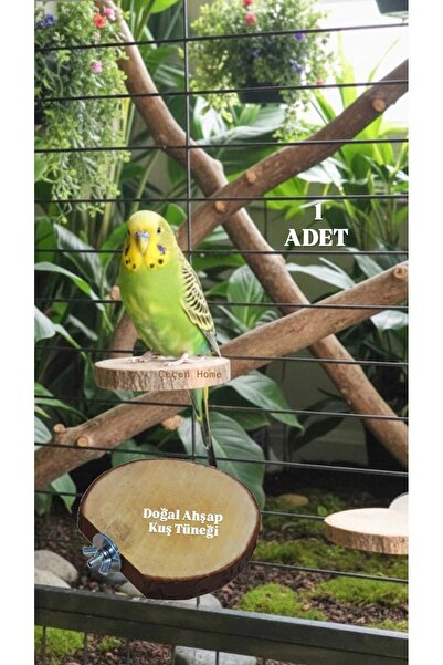 ÇEÇEN HOME 1 Piece - Round Log Bird Perch, Natural Wooden Bird Perch Fun Bird...