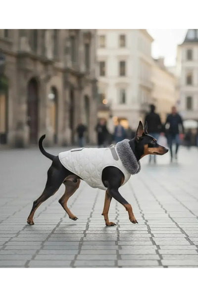 Agatha Tasma Halkalı Köpek Yeleği