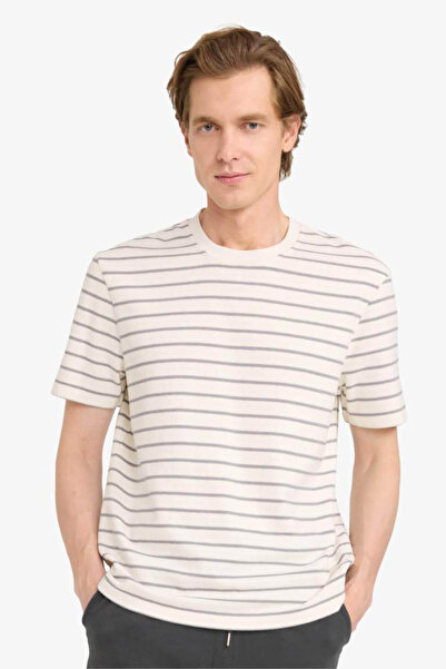 DeFacto Çizgili Gri Erkek T-Shirt F9673AX/GR67