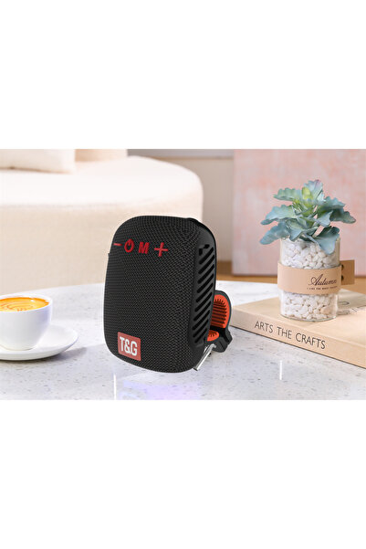 T&G Difuzor audio wireless portabil