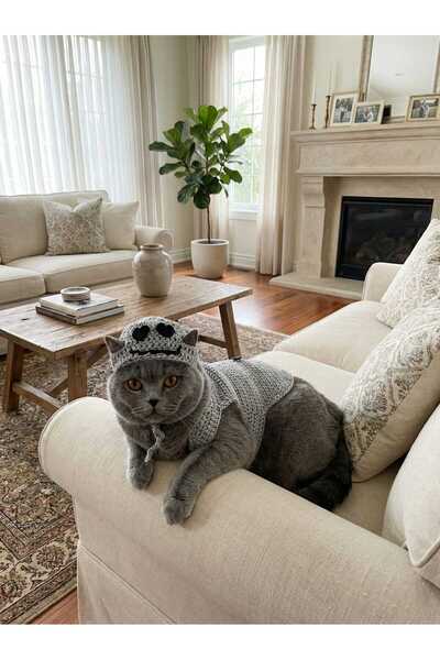 birfilizgibi Gri Başlıklı Aşık Emojili Kedi Kıyafeti/Giysisi/Kazağı