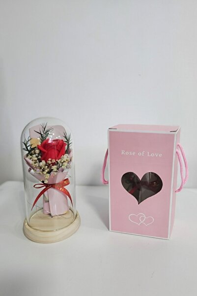 loksy25 Premium Velvet Rose in Multicolor LED Dome - Wooden Base, Eternal Gif...