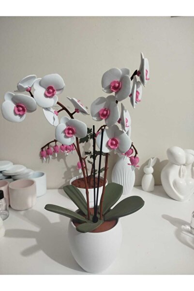 Şahi Workshop زهرة الأوركيد البلاستيكية بنكهة الفانيليا والأرامولا