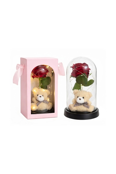 loksy25 Velvet Rose in Multicolor LED Dome with Teddy Bear – Eternal Gift for...