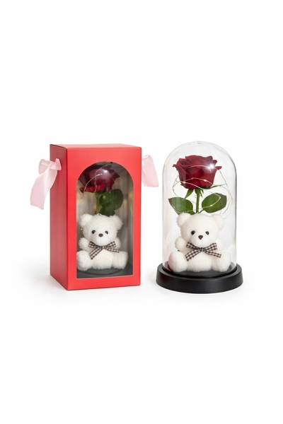 loksy25 Velvet Rose in Multicolor LED Dome with Teddy Bear – Eternal Gift for...