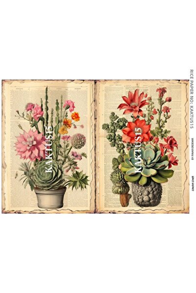 LİNEART Kkts15 Colorful, Cactus Patterned 29*42 cm Brass Decopaj