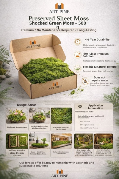 ART PINE طحالب خضراء ممتازة محفوظة - طحالب محفوظة على شكل صفائح - طحالب حية م...