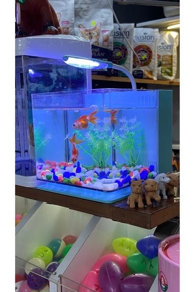 Fauna Pet Supplies Beta Tetra Lepistes Japon Balıkları Için Mini Akvaryum (Be...