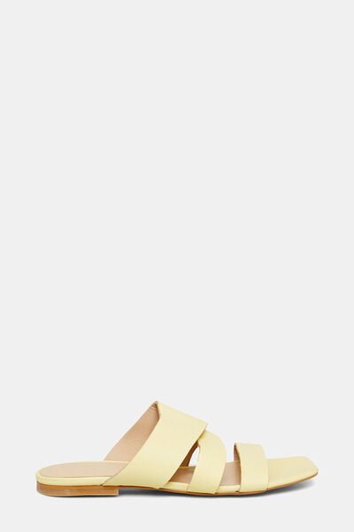 W Collection Sariayakkabi