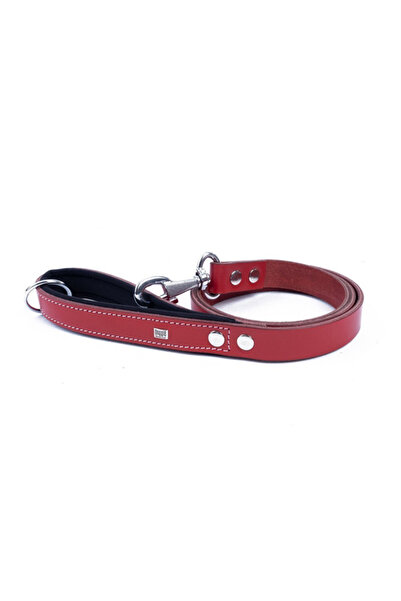 Doggie طوق جلدي مريح للكلاب مقاس متوسط ​​أحمر 2.5x120 سم