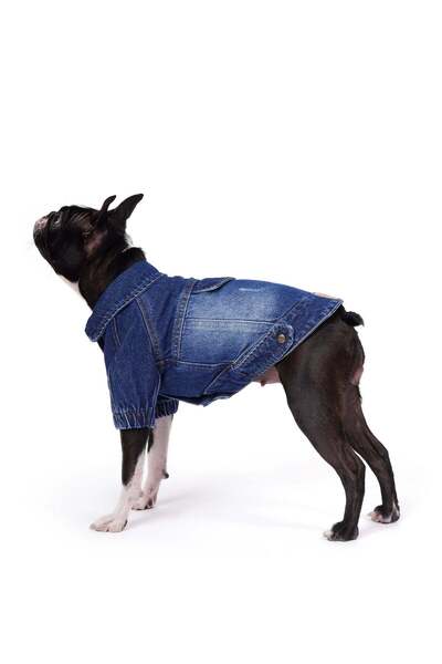 fouramour سترة كلب من الدنيم المغسول الداكن "روديو"