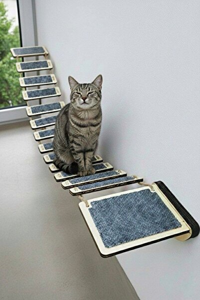 Genel Markalar Kedi Duvar Köprüsü Tırmanma Rampası, Duvar Yolu Parkuru