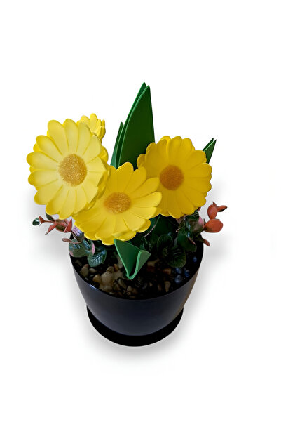 nftart.design Artificial Flower - Margarite Daisy in a Pot